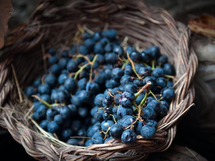 Best Western Garden Inn | Santa Rosa, California | 2