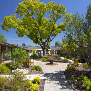 Best Western Garden Inn | Santa Rosa, California | Best Western Garden Inn hotel grounds