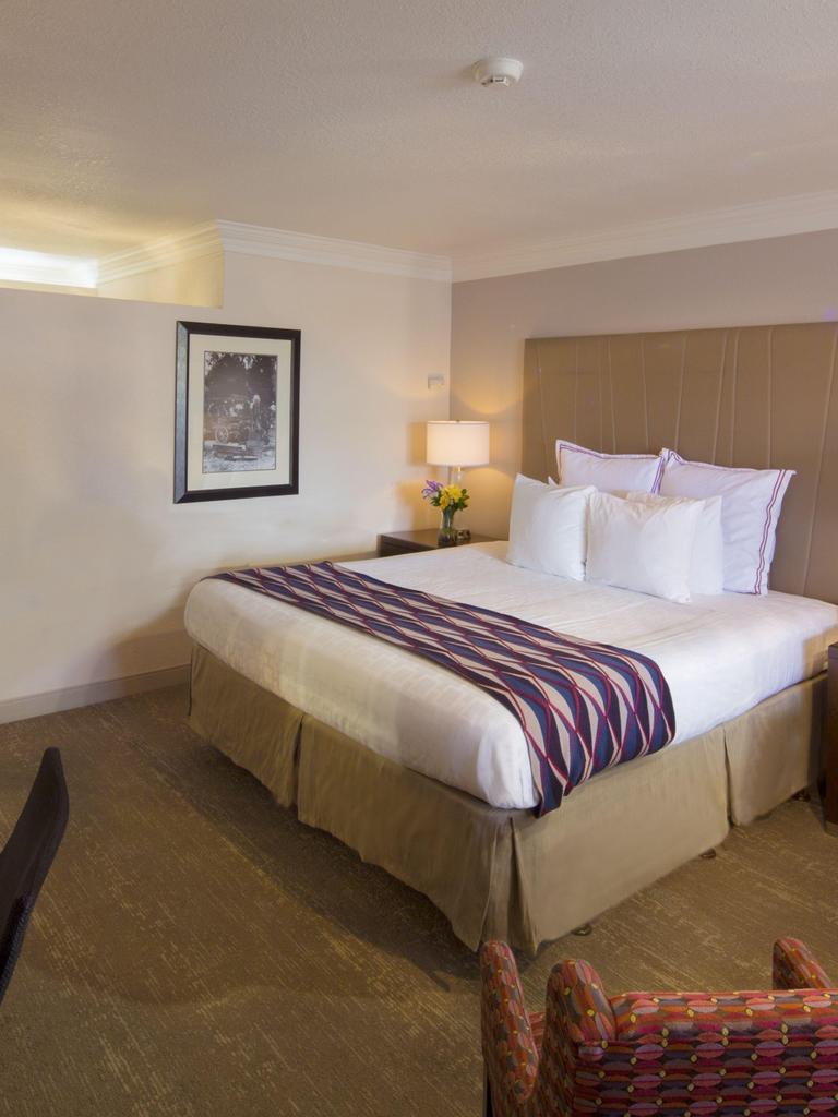 Do Best Western Hotels Allow Dogs