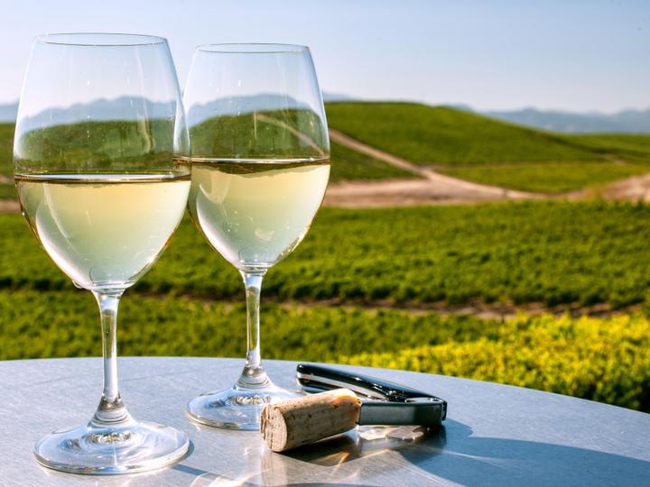 Best Western Garden Inn | Santa Rosa, California | 1