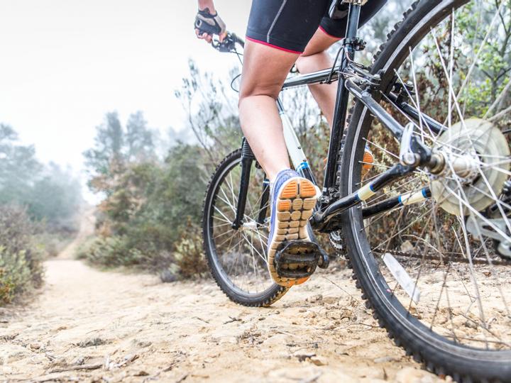 Best Western Garden Inn | Santa Rosa, California | 3