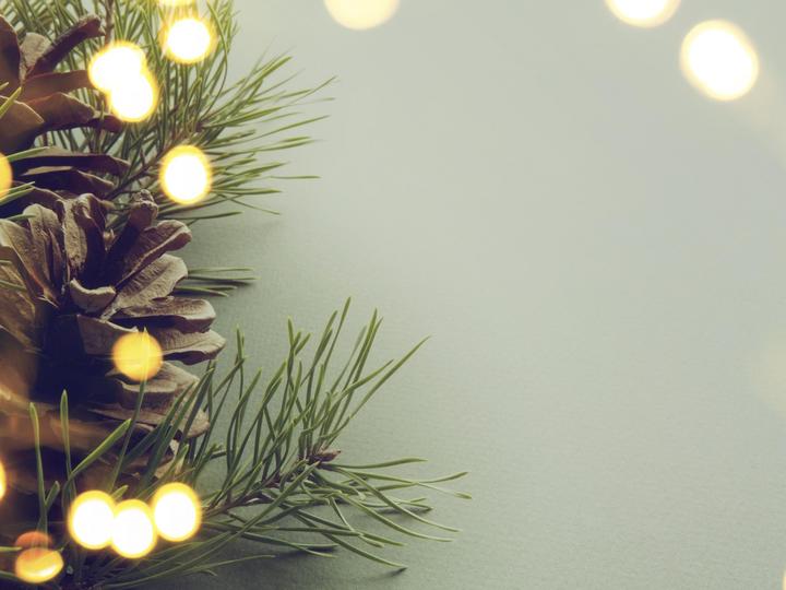 Best Western Garden Inn | Santa Rosa, California | 3